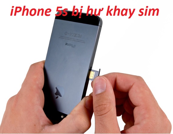 iphone 5s bi hu khay sim
