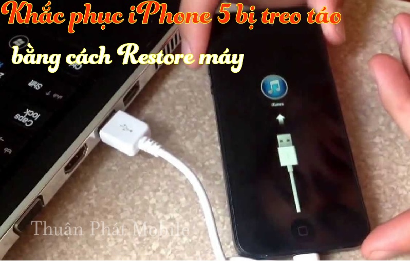 restore iphone 5 bi treo tao
