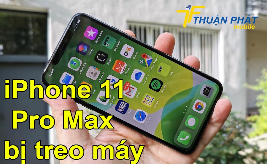 Tình trạng iPhone 11 Pro Max bị treo máy