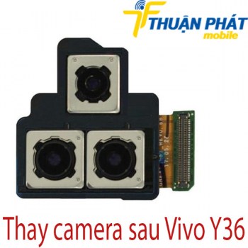 Thay-camera-sau-Vivo-Y36