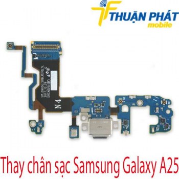 Thay-chan-sac-Samsung-Galaxy-A25