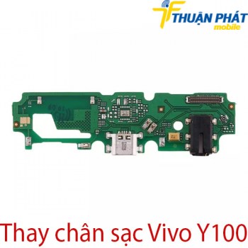 Thay-chan-sac-Vivo-Y100