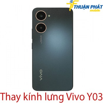 Thay-kinh-lung-Vivo-Y03