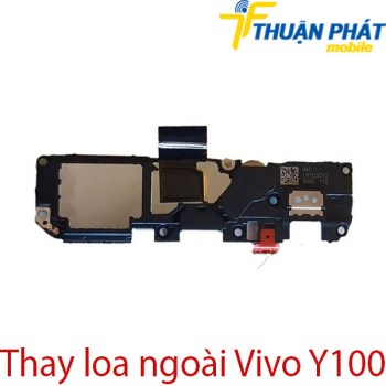 Thay-loa-ngoai-Vivo-Y100
