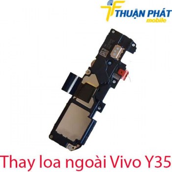 Thay-loa-ngoai-Vivo-Y35