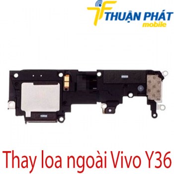 Thay-loa-ngoai-Vivo-Y36