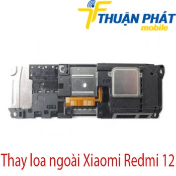 Thay-loa-ngoai-Xiaomi-Redmi-12
