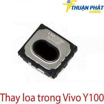 Thay-loa-trong-Vivo-Y100