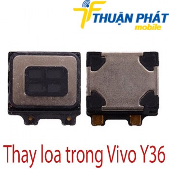 Thay-loa-trong-Vivo-Y36