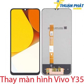Thay-man-hinh-Vivo-Y35