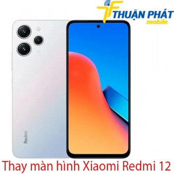 Thay-man-hinh-Xiaomi-Redmi-129