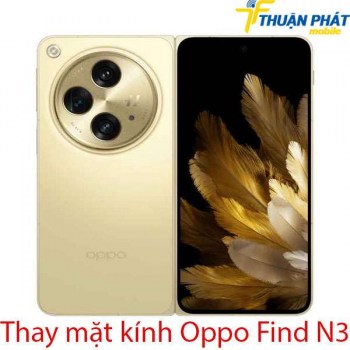 Thay-mat-kinh-Oppo-Find-N3
