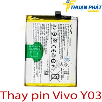 Thay-pin-Vivo-Y03