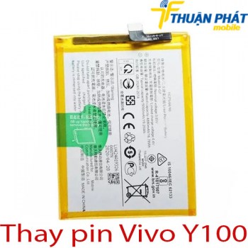 Thay-pin-Vivo-Y100