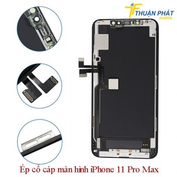 ep-co-cap-man-hinh-iphone-11-pro-max