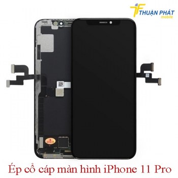 ep-co-cap-man-hinh-iphone-11-pro