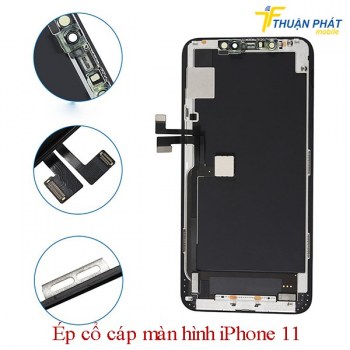 ep-co-cap-man-hinh-iphone-11