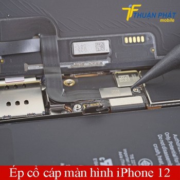 ep-co-cap-man-hinh-iphone-12