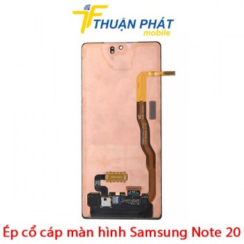 ep-co-cap-man-hinh-samsung-note-20