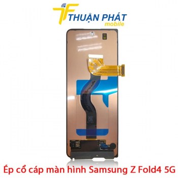 ep-co-cap-man-hinh-samsung-z-fold4-5g