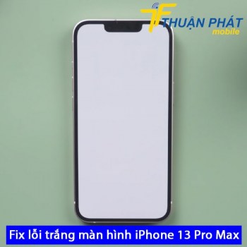 fix-loi-trang-man-hinh-iphone-13-pro-max