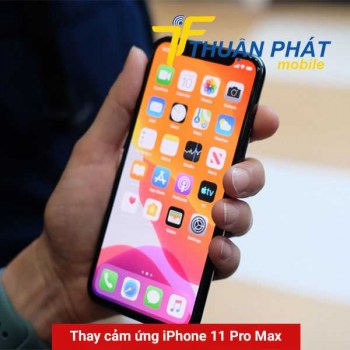 thay-cam-ung-iphone-11-pro-max