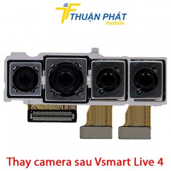 thay-camera-sau-vsmart-live-4