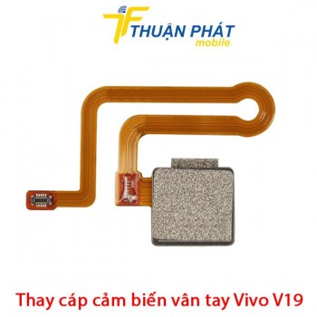 thay-cap-cam-bien-van-tay-vivo-v19