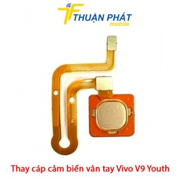 thay-cap-cam-bien-van-tay-vivo-v9-youth