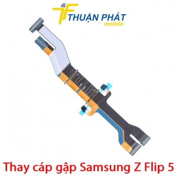 thay-cap-gap-samsung-z-flip-5