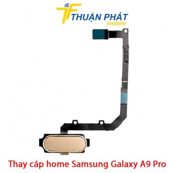 thay-cap-home-samsung-galaxy-a9-pro