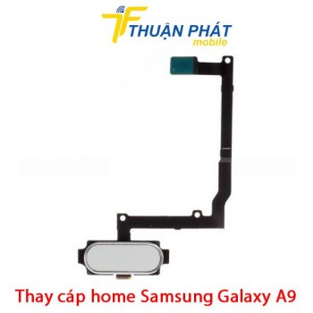 thay-cap-home-samsung-galaxy-a9