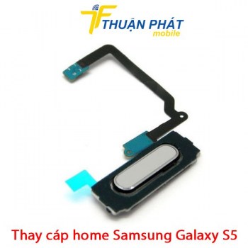 thay-cap-home-samsung-galaxy-s5
