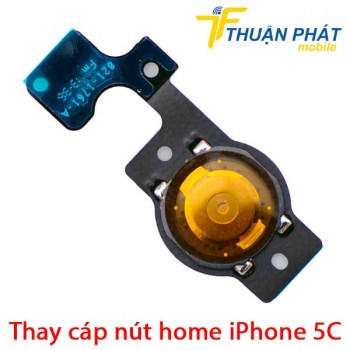 thay-cap-nut-home-iphone-5c