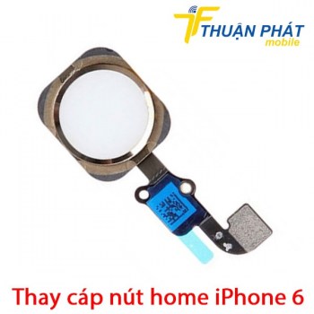 thay-cap-nut-home-iphone-6