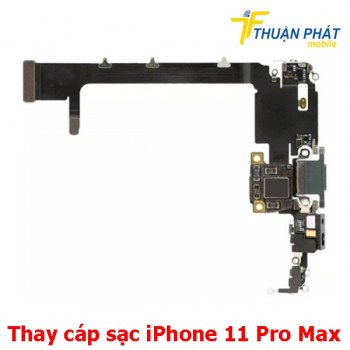 thay-cap-sac-iphone-11-pro-max