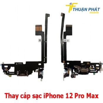 thay-cap-sac-iphone-12-pro-max