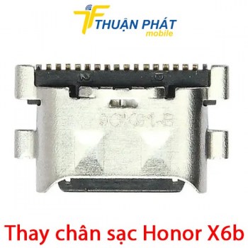 thay-chan-sac-honor-x6b