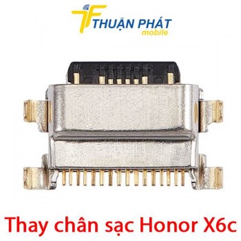 thay-chan-sac-honor-x6c
