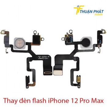 thay-den-flash-iphone-12-pro-max
