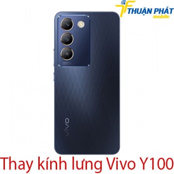 thay-kinh-lung-Vivo-Y100