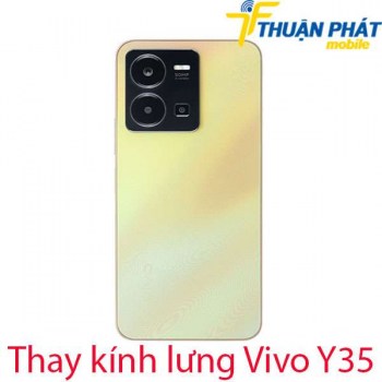 thay-kinh-lung-Vivo-Y35