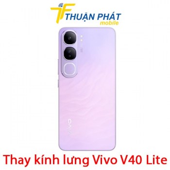 thay-kinh-lung-vivo-v40-lite