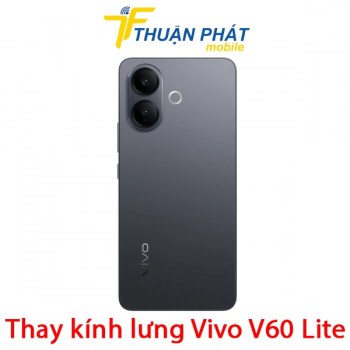 thay-kinh-lung-vivo-v60-lite
