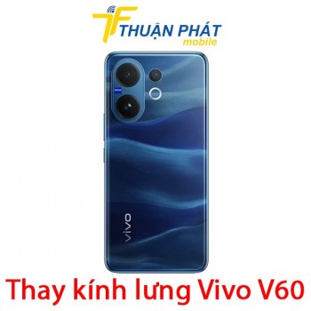 thay-kinh-lung-vivo-v60