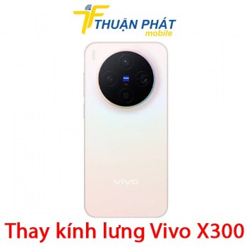 thay-kinh-lung-vivo-x300