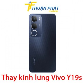 thay-kinh-lung-vivo-y19s