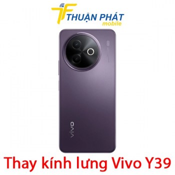 thay-kinh-lung-vivo-y39