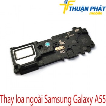 thay-loa-ngoai-Samsung-Galaxy-A55