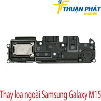 thay-loa-ngoai-Samsung-Galaxy-M15